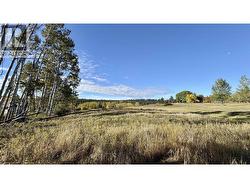 LOT 2 TELQUA DRIVE 100 Mile House, BC V0K 2Z0