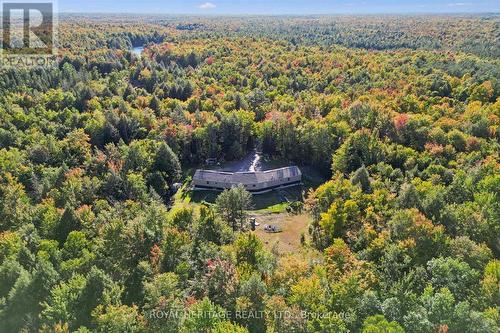 1515 Uffington Road, Bracebridge, ON 