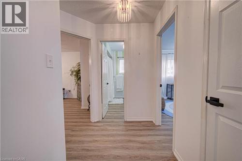 Hallway featuring wood-finish flooring, white paneled doors, and a decorative ceiling light fixture - 317 Christopher Drive, Cambridge, ON 