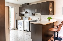 Cuisine - 