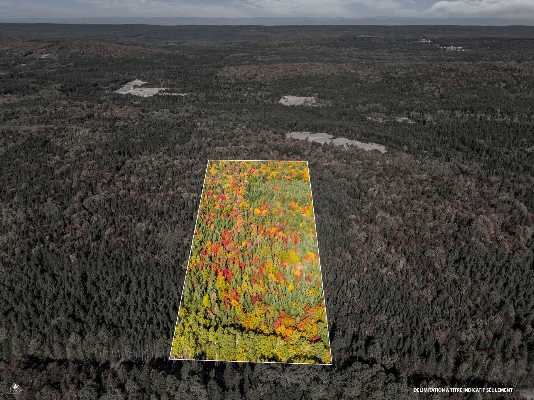 589 1Er Rang — photo 1