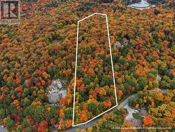 481 GRYFFIN LODGE ROAD Huntsville (Brunel), ON P0B 1M0