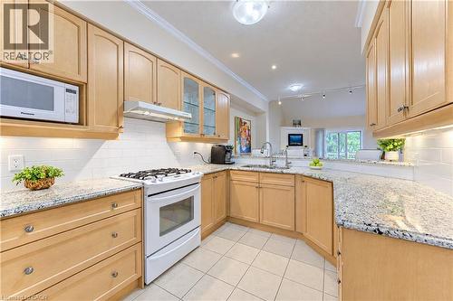 Granite counters, double sink & plenty of counter space to prep meals. - 222 Chestnut Hill Crescent, Kitchener, ON 
