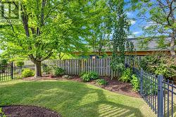 Fenced yard - 