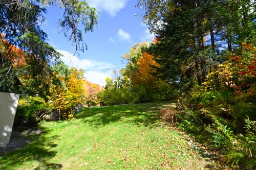 Courtyard - 3755 Rue Rolland, Sainte-Adèle, QC 