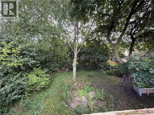 Expansive green space featuring mature trees and established plantings - 281 Toll Gate Boulevard, Waterloo, ON 