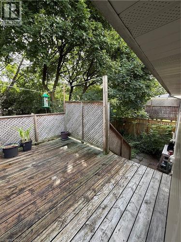 Expansive wood-plank deck with lattice privacy screening and surrounding mature trees - 281 Toll Gate Boulevard, Waterloo, ON 
