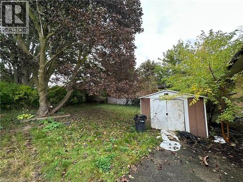 Expansive yard with mature trees, established green space, and a storage shed - 84 Weber Street S, Waterloo, ON 