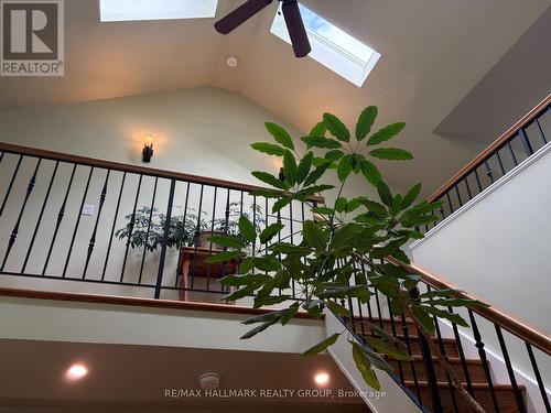 116 Hamilton Avenue N, Ottawa, ON 