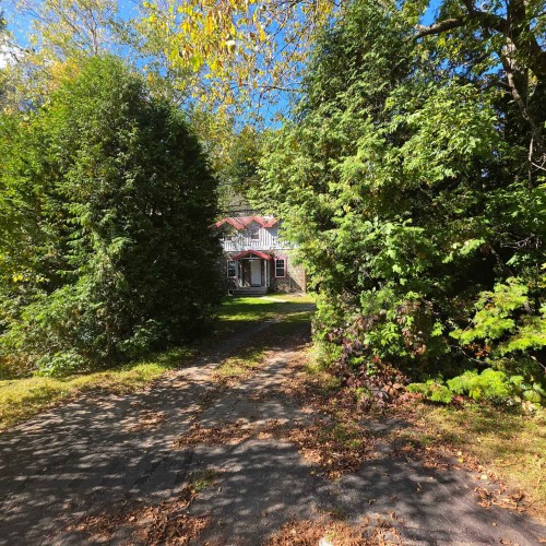 119 Av. St-Denis — photo 3
