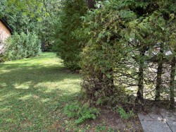 Courtyard - 
