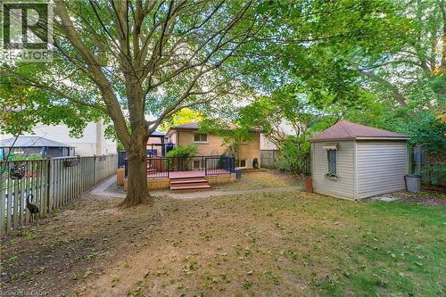 Expansive backyard featuring a multi-level composite deck, mature trees, storage shed, and fenced yard. - 77 Yellow Birch Drive, Kitchener, ON 