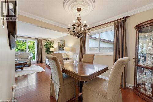 Dining room with hardwood flooring, crown moulding, and chandelier. - 77 Yellow Birch Drive, Kitchener, ON 