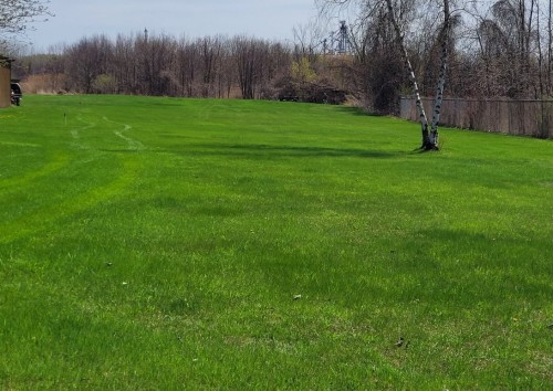 Route Marie Victorin — photo 3