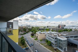 View - 