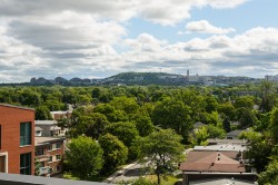 View - 