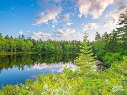 Lot 12 & 13 Charleton Road West Springhill, NS B0S 1A0