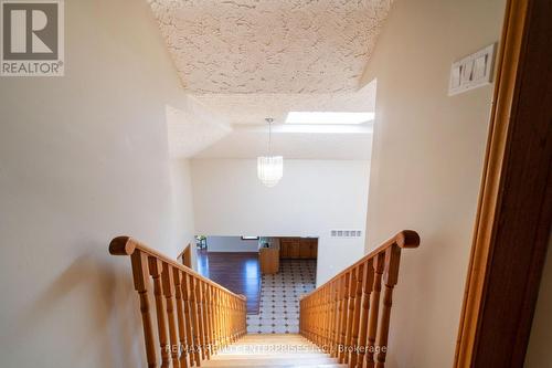 1351 Haig Boulevard, Mississauga, ON 