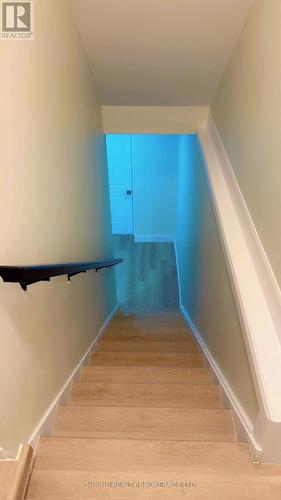 BASEMENT - 3843 PETALPATH WAY , London South (South V), Ontario N6P 0K2 2