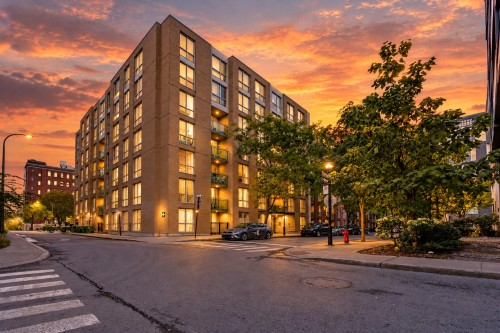 462-98 Rue Charlotte  Montréal (Ville-Marie), QC H2X 3V2