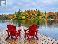1005 MCARTHUR POINT ROAD  Lake Of Bays (Ridout), ON P0B 1A0