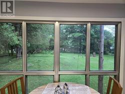 Back yard - 