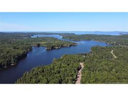 - Osprey LANE St George, NB E5C 3R2