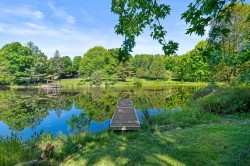 Bord de l'eau - 