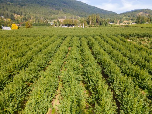 33Rd Avenue, Erickson, BC 