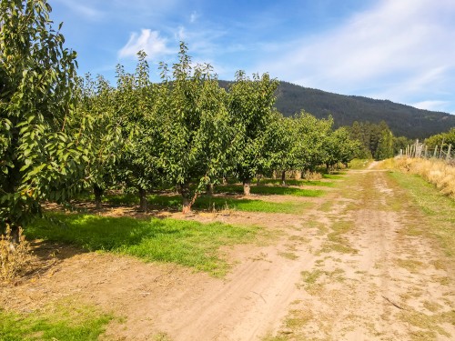 33Rd Avenue, Erickson, BC 