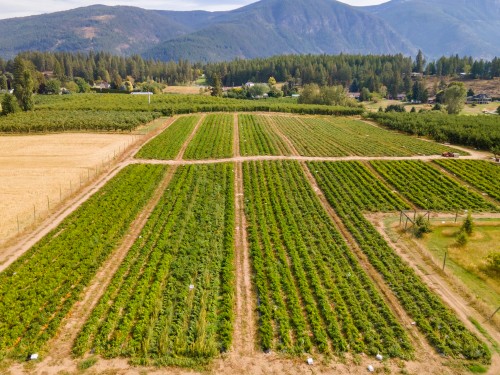 33Rd Avenue, Erickson, BC 