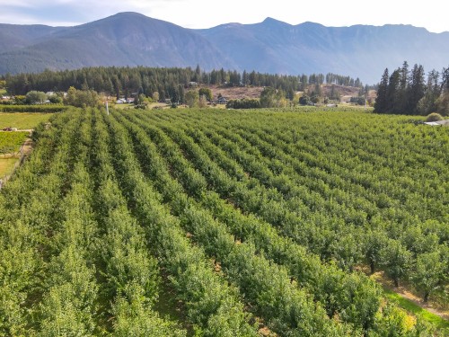 33Rd Avenue, Erickson, BC 