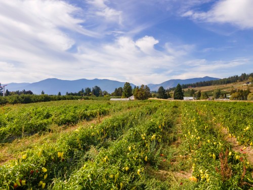 33Rd Avenue, Erickson, BC 