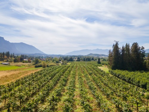 33Rd Avenue, Erickson, BC 