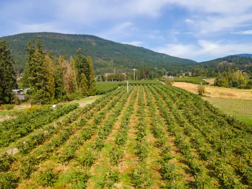 33Rd Avenue, Erickson, BC 