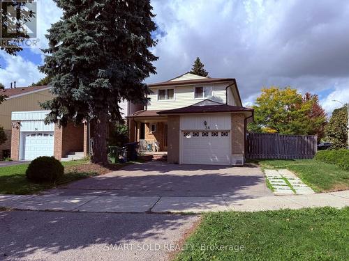 (BASEMENT) - 36 MONTEZUMA TRAIL , Toronto, Ontario M1V 1H8 2