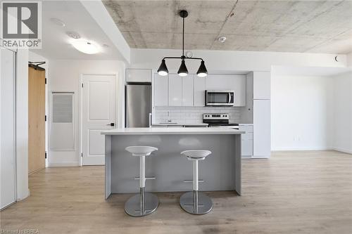 7 ERIE Avenue Unit# 202 , Brantford, Ontario N3S 2E7 3