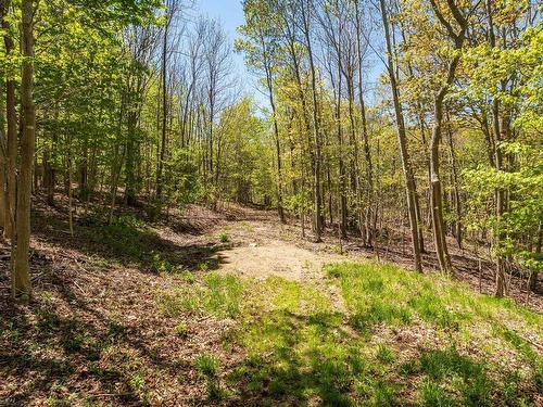550 River Road, Bear River, NS 