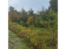 Lot HUNTINGTON POINT Road  Halls Harbour, NS B0P 1J0