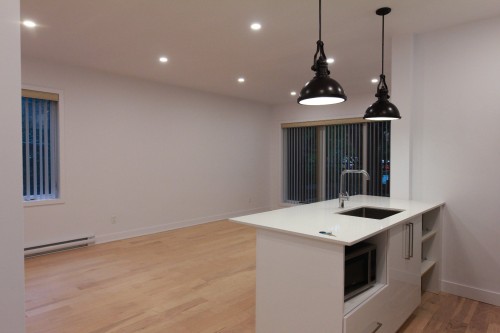 103-1620 Rue Dézéry , Montréal (Mercier/Hochelaga-Maisonneuve), QC H1W 2R7 2