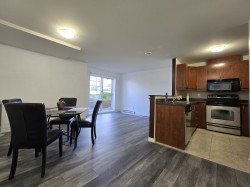 Salon - 