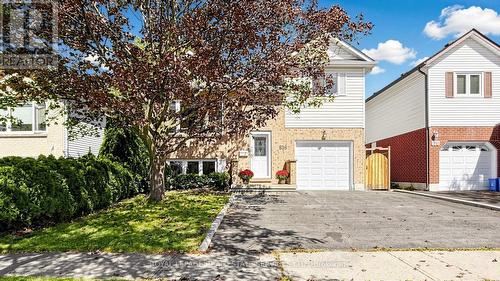 816 BEATRICE STREET E  Oshawa, ON L1K 2H7
