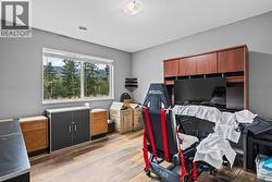 Lower Level Bedroom - 