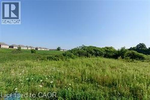 Expansive green landscape with distant residential structures - 28 Madonna Drive, Hamilton, ON 