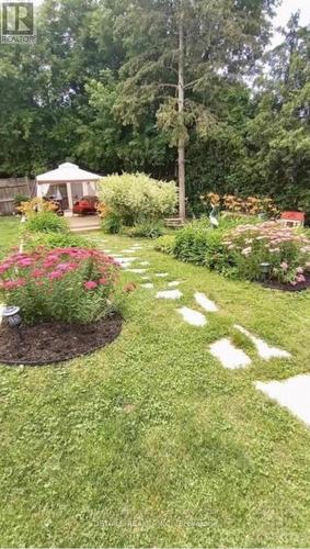 Backyard in Summer - 3021 Richmond Road, Ottawa, ON 