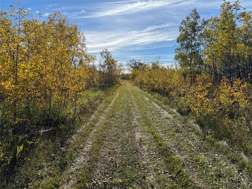 0 111 Road N, Lundar, MB 