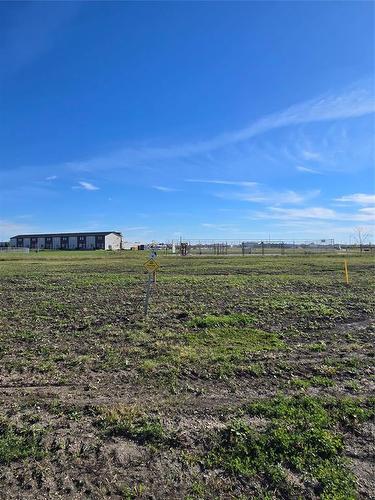 18 Saskatoon Crescent, Steinbach, MB 