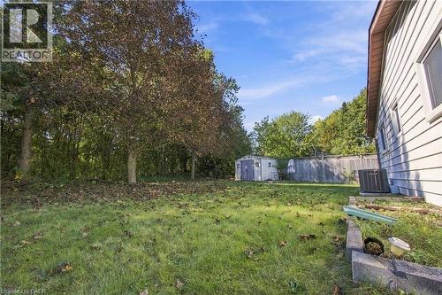 Expansive backyard with a manicured lawn, established trees, and a utility shed - 135 Cedarhill Crescent, Kitchener, ON 