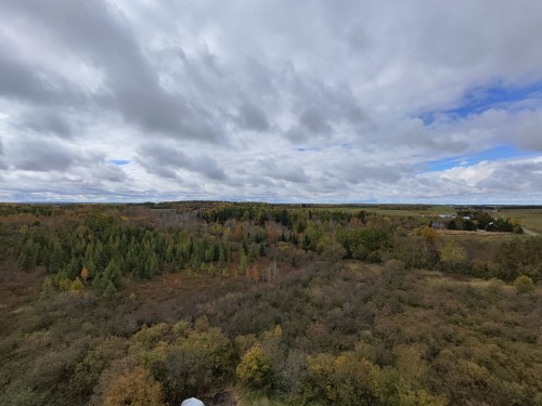 Vue d'ensemble - 314 4E-Et-5E Rang E., Dupuy, QC 
