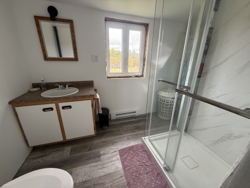 Salle de bains - 314 4E-Et-5E Rang E., Dupuy, QC 